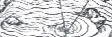 «Морская корова» по Олаусу Магнусу.Рогатый зверь, изображенный в море у береговцентральной Норвегии